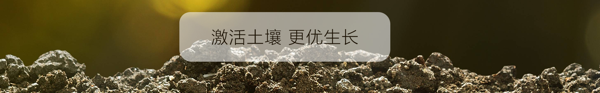 极端天气下为何优选 “少量多次” 追肥?优质水溶肥成种植户刚需之选(图2) 未标题-5.png